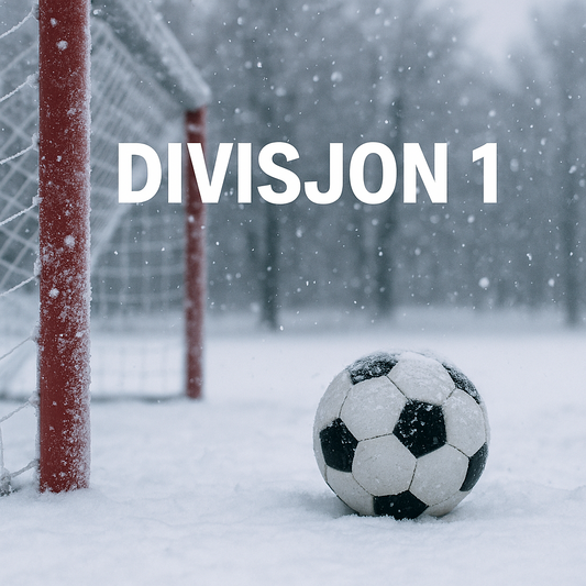 Divisjon 1