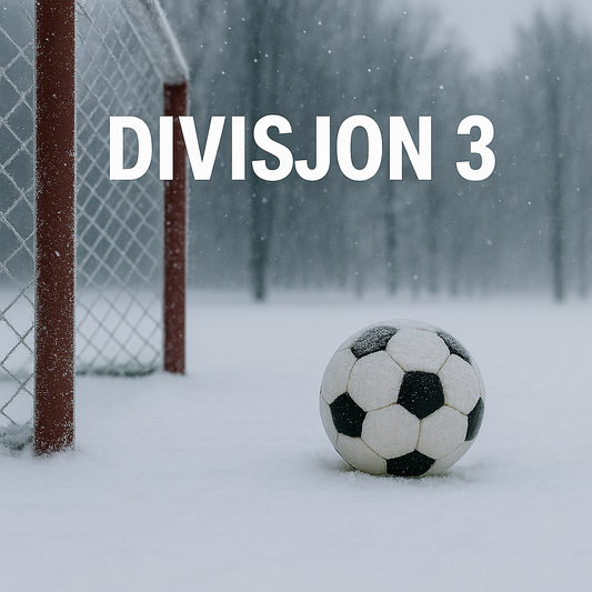 Divisjon 3